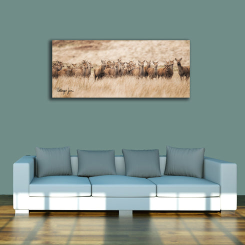 PANORAMIC - EASTERN MOOR DEER - 1.2m x 50cm